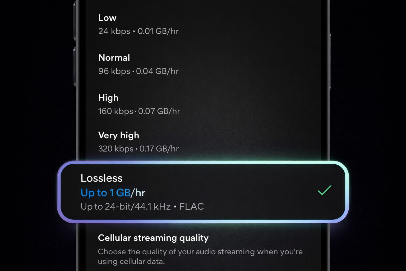 Spotify Lossless UI